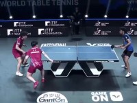 这场地绝了😂WTT印度站比赛，张本智和赛中疑遭天降鸟屎💩